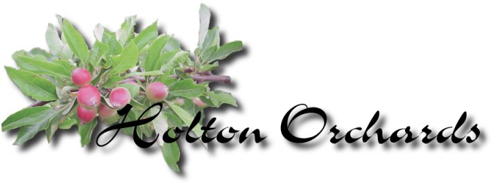 Holton Orchards